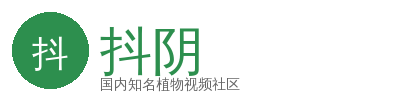 抖阴